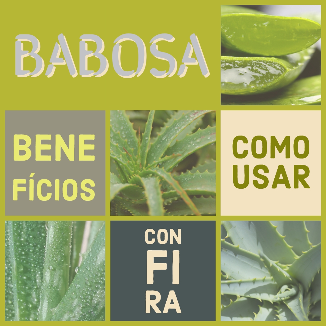 O Poder da Babosa - Ferramentas para Cultivos Agrcolas, Paisagismo e  Jardinagem - Soluagro